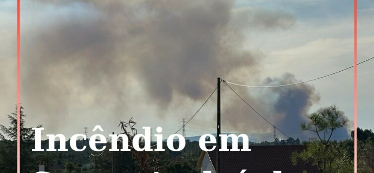 Quatro meios aéreos combatem incêndio