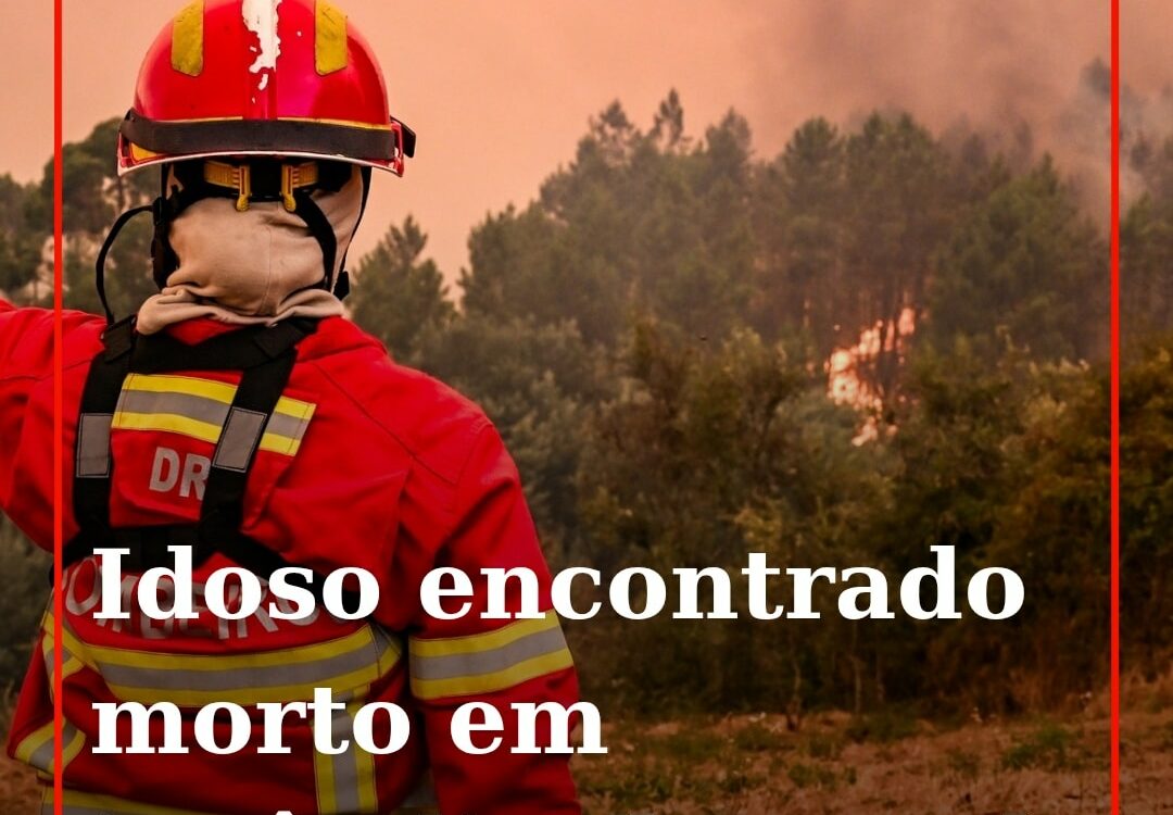 Um homem foi encontrado morto pelos bombeiros de Viseu que foram chamados a comb