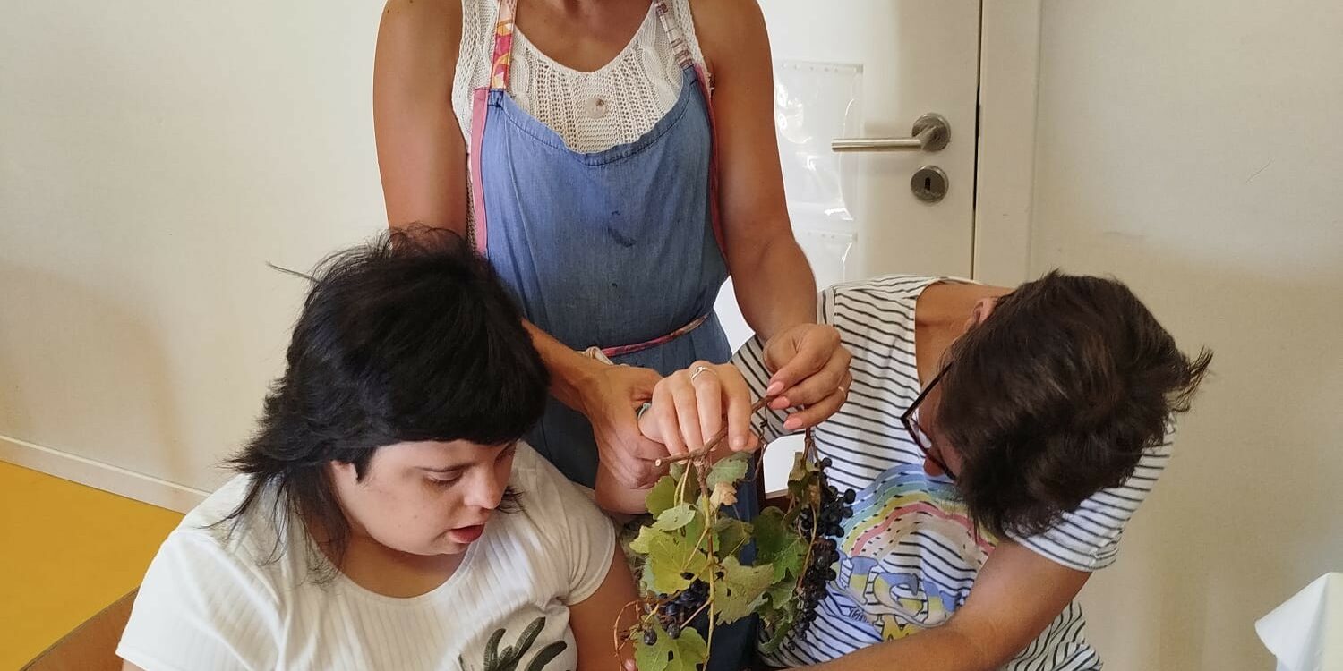 Utentes da Associação de Apoio à Criança do Distrito de Castelo Branco participa
