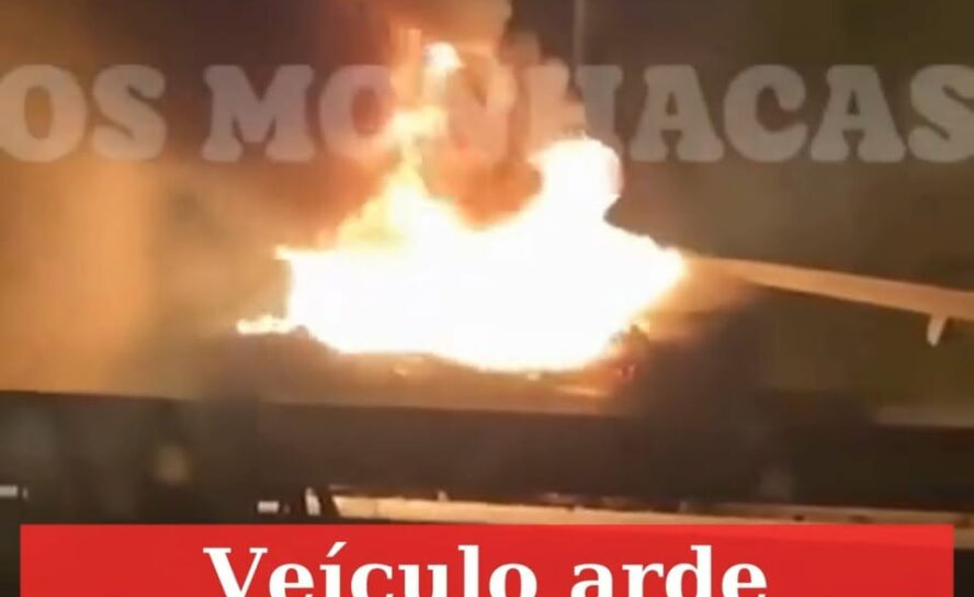 Veículo incendeia-se na A23
