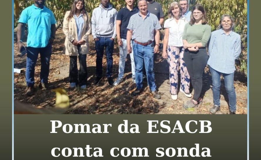 Castelo Branco