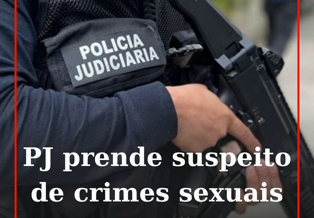 A Polícia Judiciária deteve esta terça-feira, em Castelo de Vide, um homem de 26