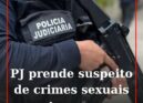 A Polícia Judiciária deteve esta terça-feira, em Castelo de Vide, um homem de 26