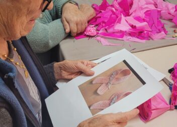 Centro de Solidariedade Social de São Jorge da Beira assinala “Outubro Rosa”