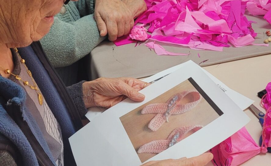 Centro de Solidariedade Social de São Jorge da Beira assinala “Outubro Rosa”