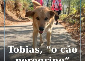 Cernache do Bonjardim