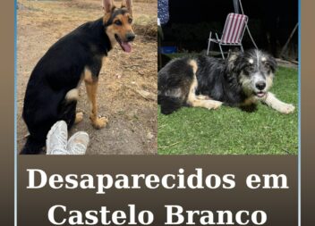 Desaparecidos em Castelo Branco