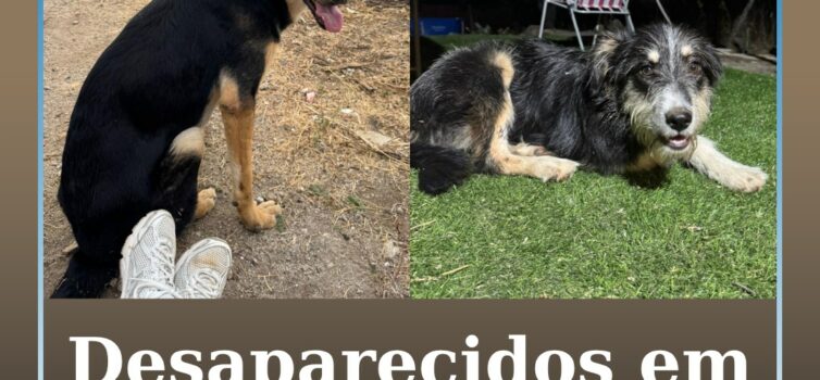 Desaparecidos em Castelo Branco