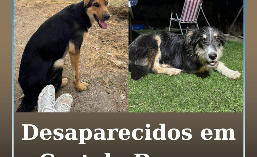 Desaparecidos em Castelo Branco