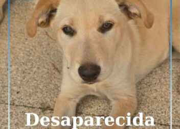Desparecida na zona do Fundão