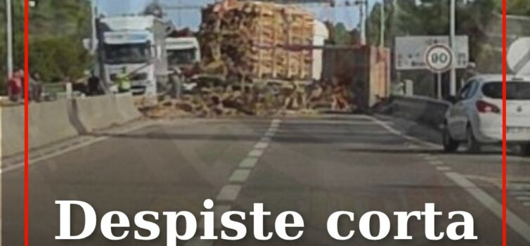 Despiste corta trânsito no IC8