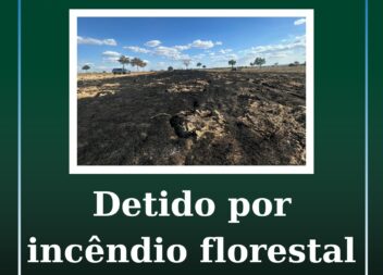 Detido por incêndio florestal