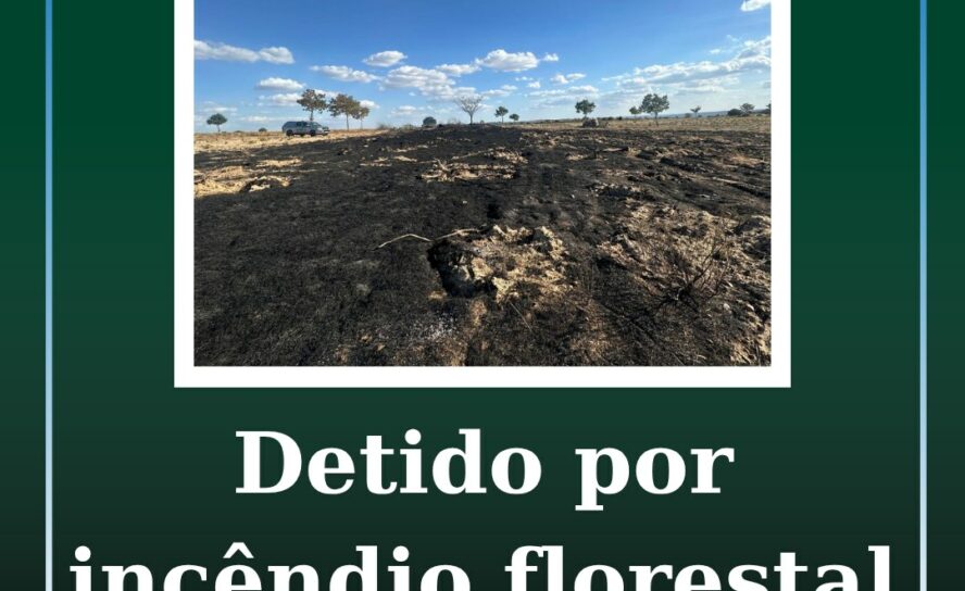 Detido por incêndio florestal