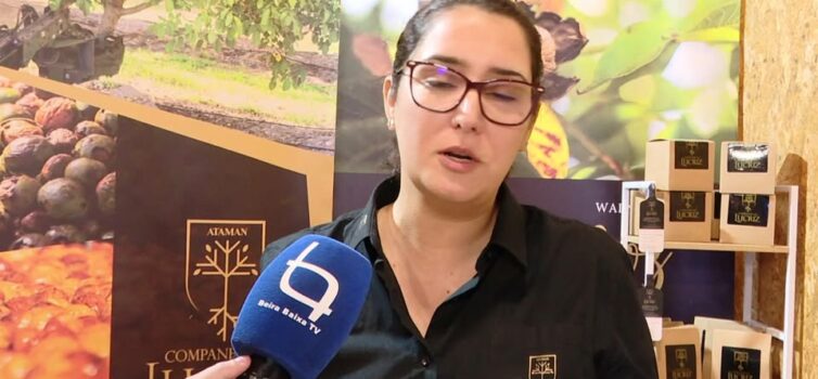 EM DIRETO: Mostra de Frutos do Outono / Oleiros