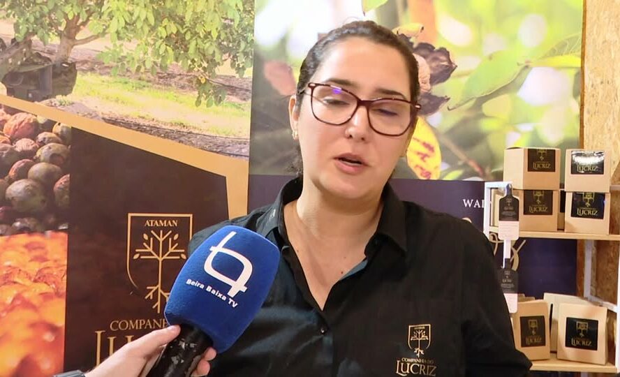 EM DIRETO: Mostra de Frutos do Outono / Oleiros