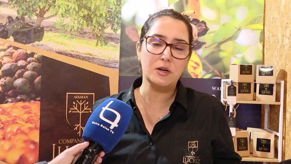 EM DIRETO: Mostra de Frutos do Outono / Oleiros