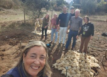 Escola Superior Agrária inicia ensaio para produção de alface com lã