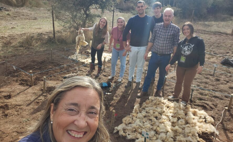 Escola Superior Agrária inicia ensaio para produção de alface com lã