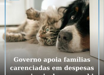Governo apoia famílias carenciadas em despesas com animais de companhia