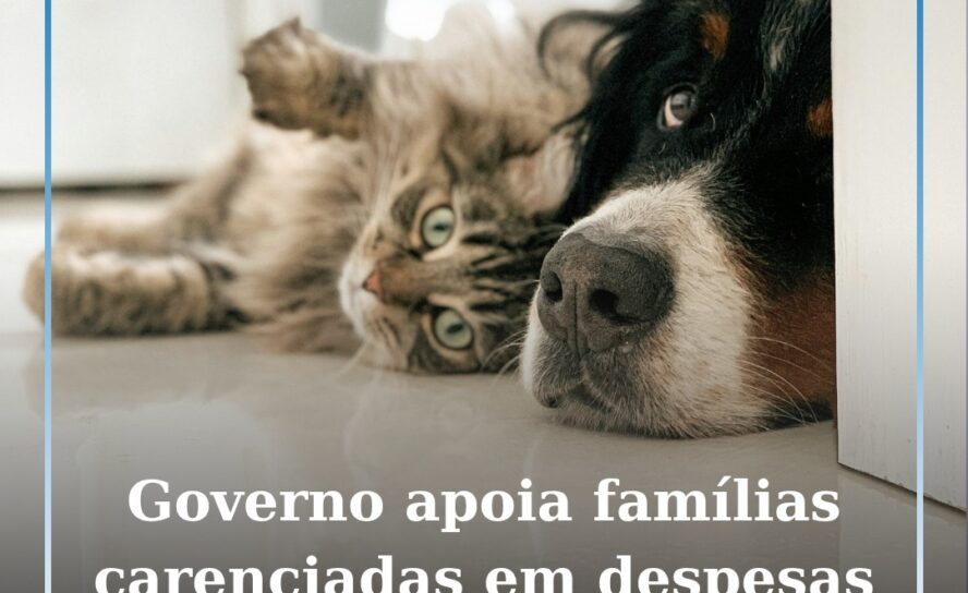 Governo apoia famílias carenciadas em despesas com animais de companhia