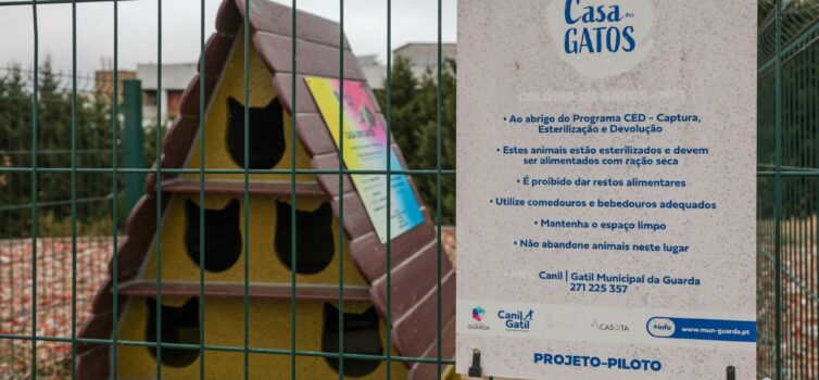 Guarda instala novos abrigos para gatos de rua no âmbito do programa CED