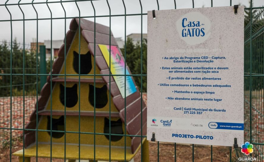 Guarda instala novos abrigos para gatos de rua no âmbito do programa CED