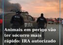 Histórico: IRA ganha estatuto de prioridade nas estradas