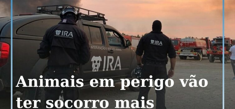 Histórico: IRA ganha estatuto de prioridade nas estradas