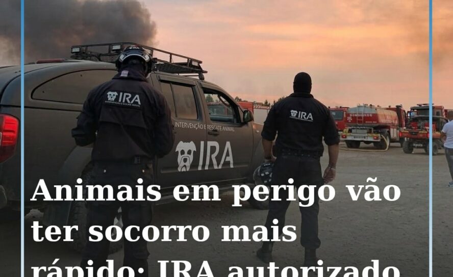 Histórico: IRA ganha estatuto de prioridade nas estradas