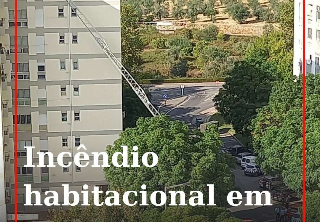 Incêndio habitacional em Castelo Branco mobiliza 11 operacionais