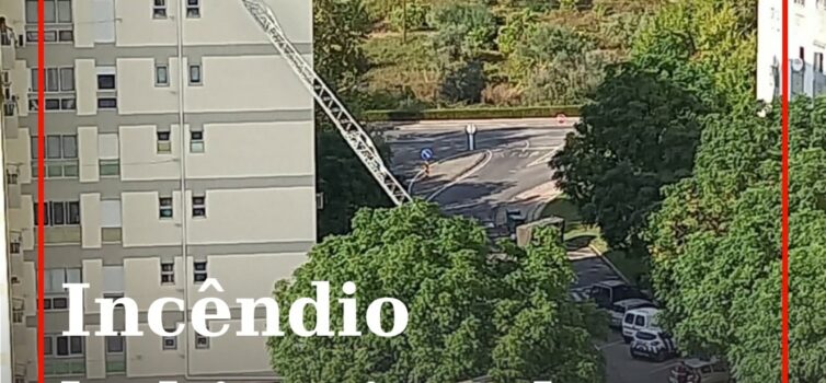 Incêndio habitacional em Castelo Branco mobiliza 11 operacionais