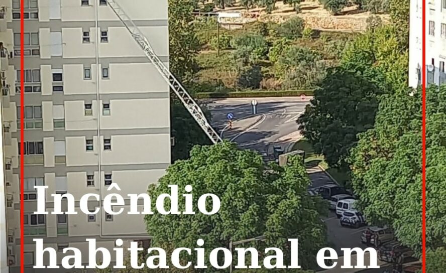 Incêndio habitacional em Castelo Branco mobiliza 11 operacionais
