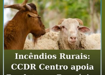 Incêndios Rurais 2025: CCDR Centro apoia Produtores Pecuários