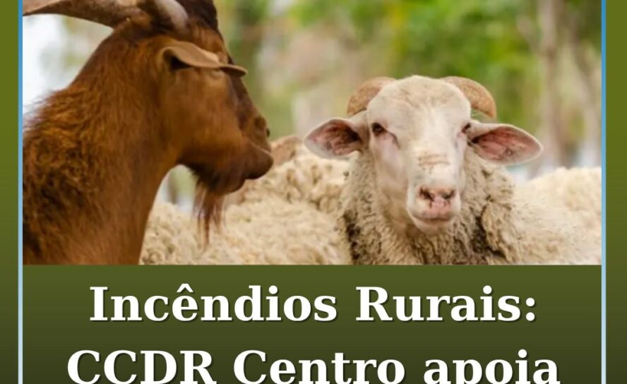 Incêndios Rurais 2025: CCDR Centro apoia Produtores Pecuários