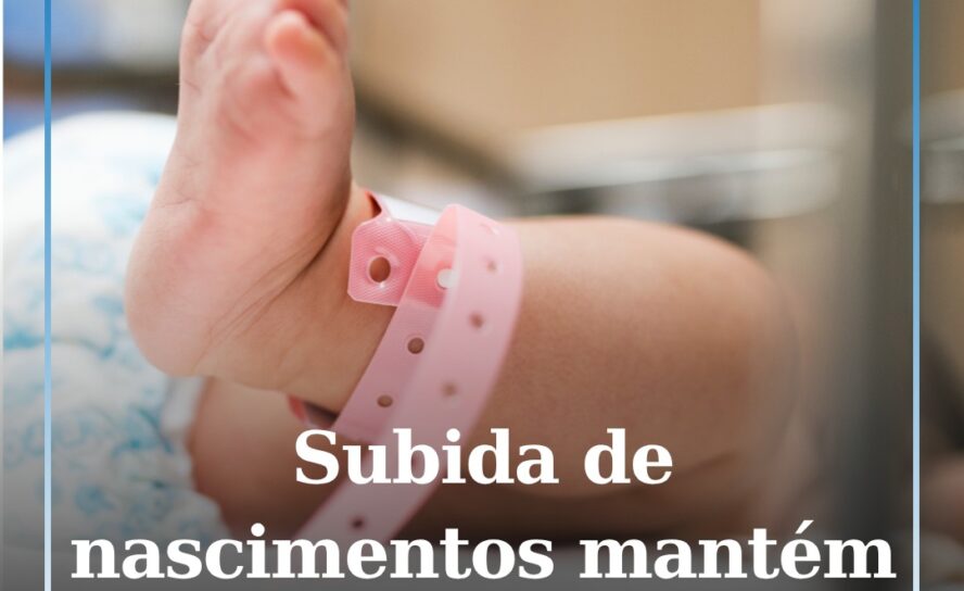 Nascimentos aumentam nos primeiros nove meses do ano