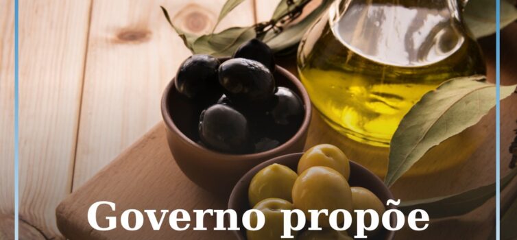 OE2026: Governo propõe IVA de 6% para a produção de azeite