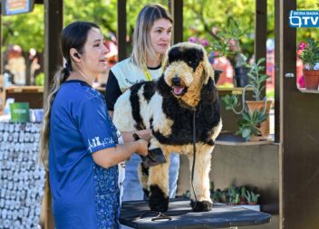 “Patas & Patudos” anima o Parque da Cidade em Castelo Branco