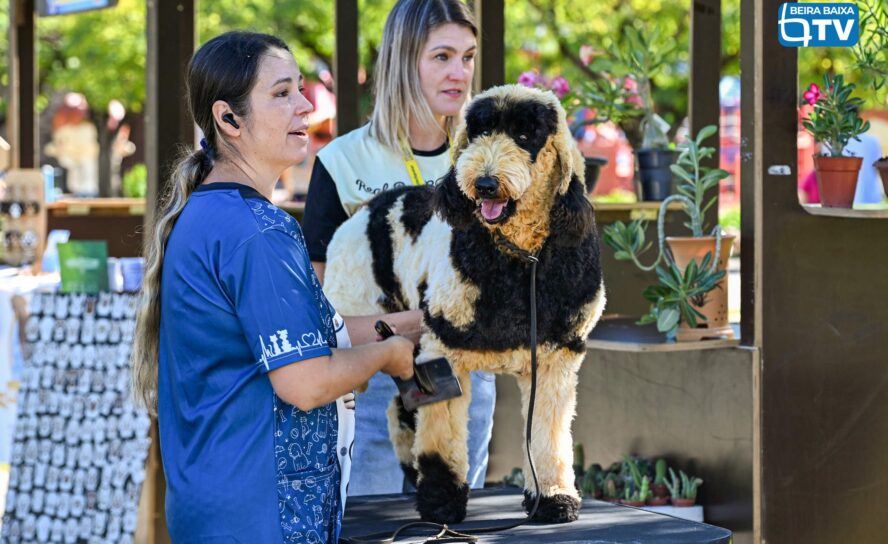 “Patas & Patudos” anima o Parque da Cidade em Castelo Branco