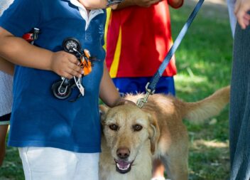 “Patas & Patudos” animou o Parque da Cidade em Castelo Branco