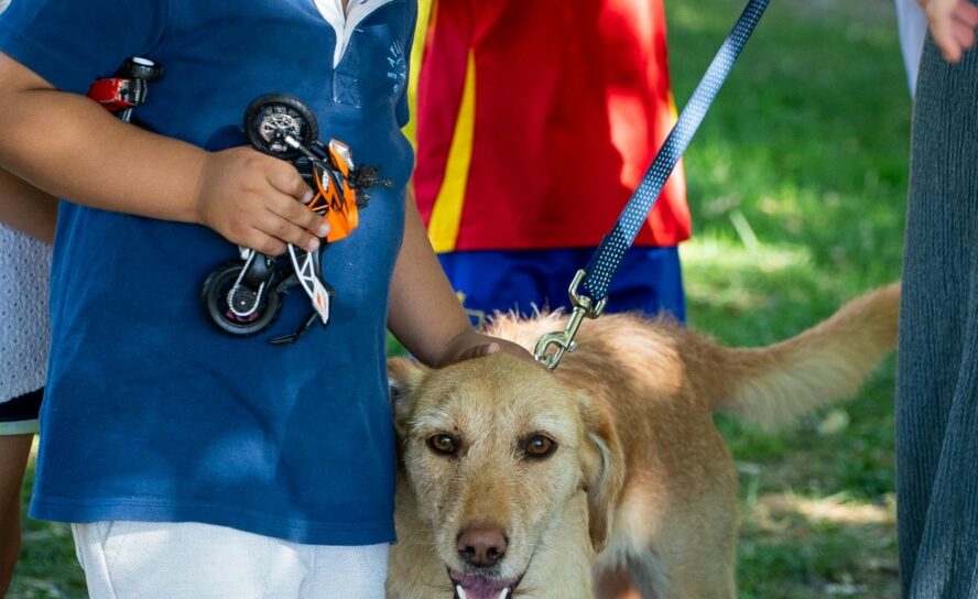 “Patas & Patudos” animou o Parque da Cidade em Castelo Branco
