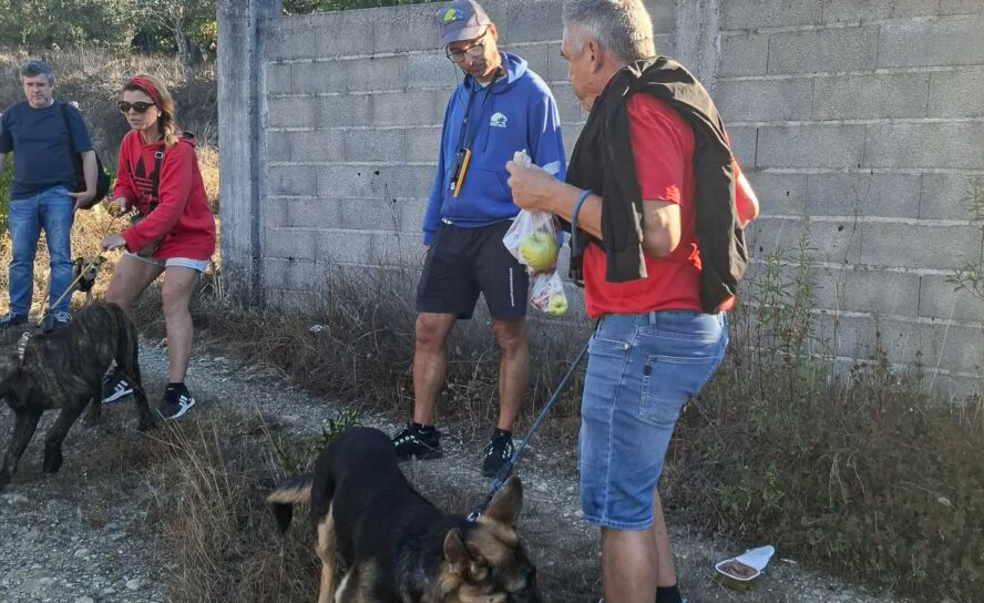 Vergão recebeu XIV Cãominhada