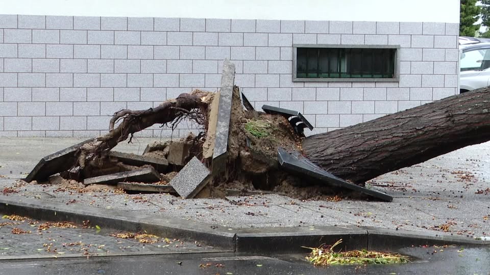 EM DIRETO: BEIRA BAIXA TV