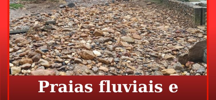 Vila de Rei