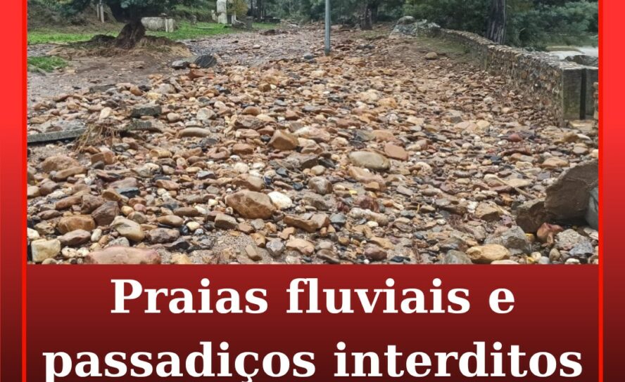 Vila de Rei