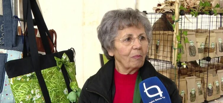 EM DIRETO: BEIRA BAIXA TV
