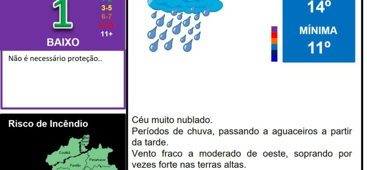 Les commentaires ont été désactivés pour cette publication.