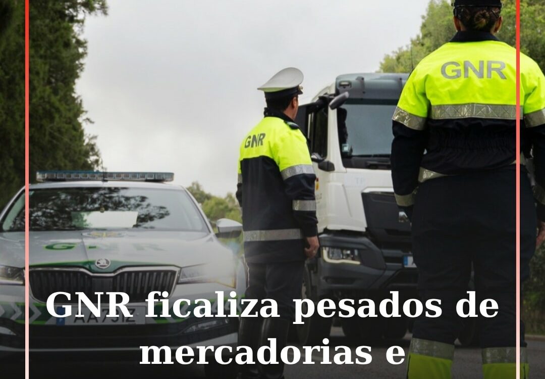 A Guarda Nacional Republicana (GNR), entre os dias 17 e 23 de novembro, realiza,