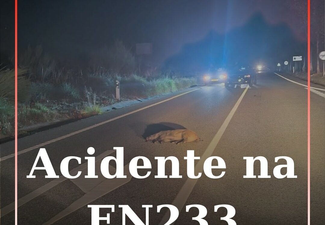 Acidente na EN233