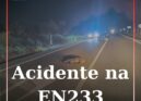 Acidente na EN233