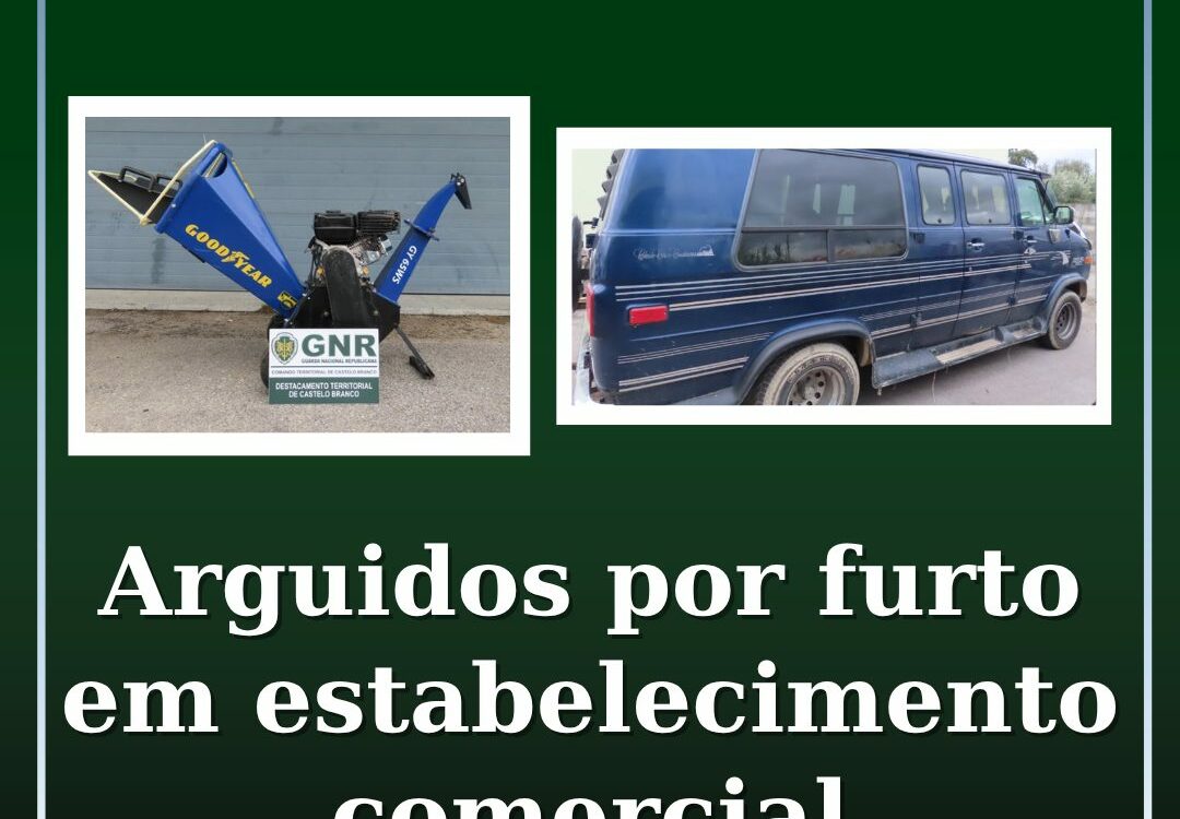 Arguidos por furto em estabelecimento comercial em Castelo Branco